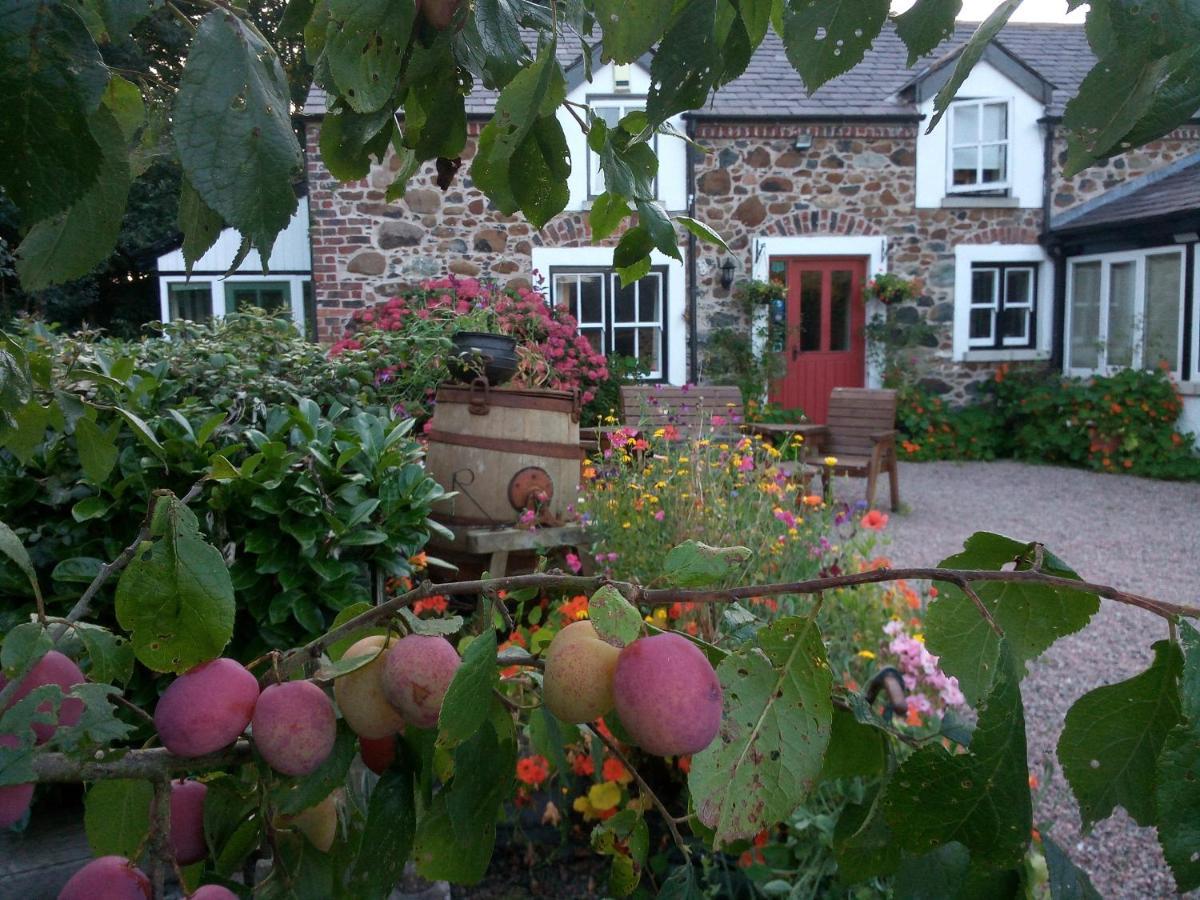 Berwick Hall Cottage Moira  Esterno foto